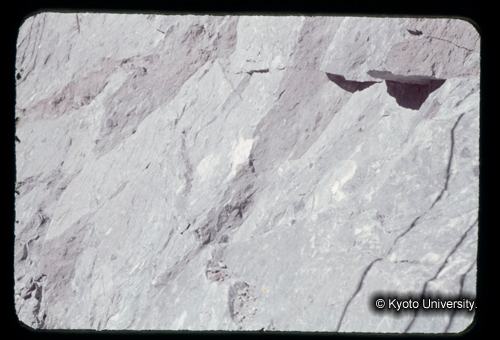 カラースライドF20_19 (1)