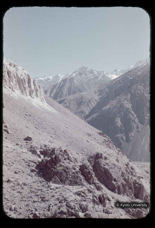 カラースライドF16_12 (1)