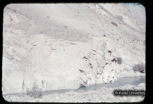 カラースライドF20_20 (1)