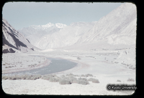 カラースライドF21_05 (1)