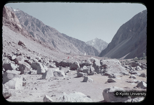 カラースライドF17_17 (1)