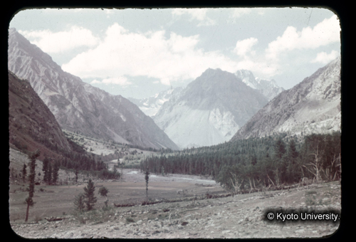 カラースライドF05_01 (1)