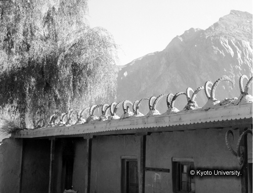 ヒンズークシ地域撮影フィルム : F-43-10 (1)