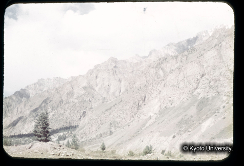 カラースライドF04_21 (1)