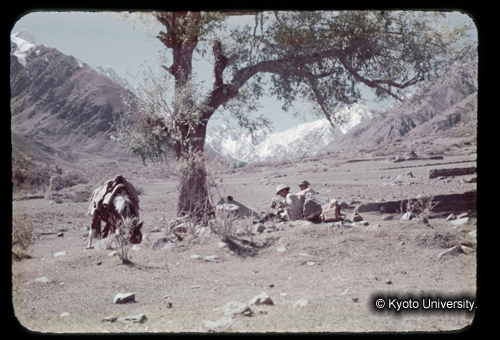 カラースライドF17_03 (1)