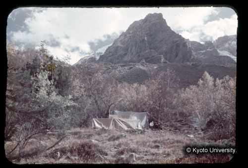 カラースライドF10_19 (1)