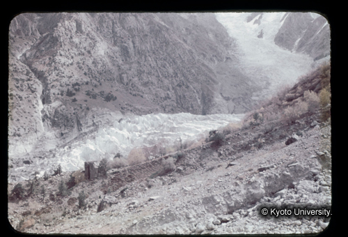 カラースライドF11_04 (1)