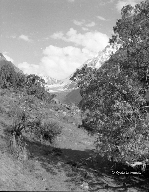 ヒンズークシ地域撮影フィルム : F-48-12 (1)