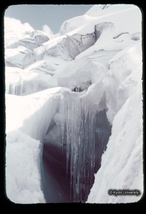 カラースライドF12_17 (1)