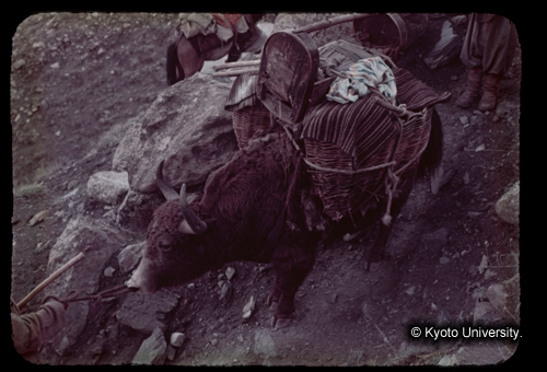 カラースライドF13_12 (1)