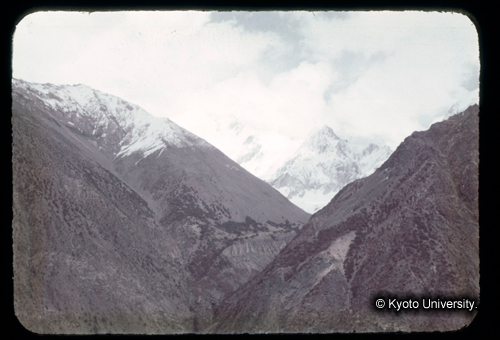 カラースライドF14_12 (1)