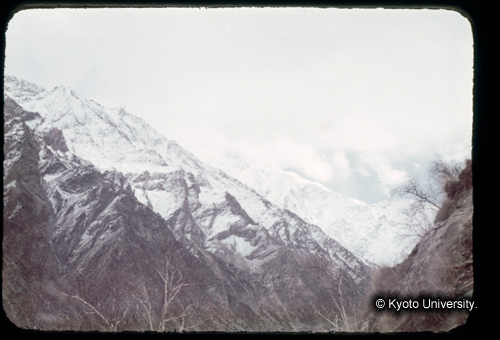 カラースライドF14_13 (1)