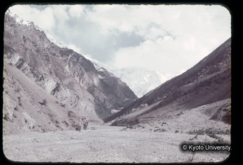 カラースライドF14_16 (1)