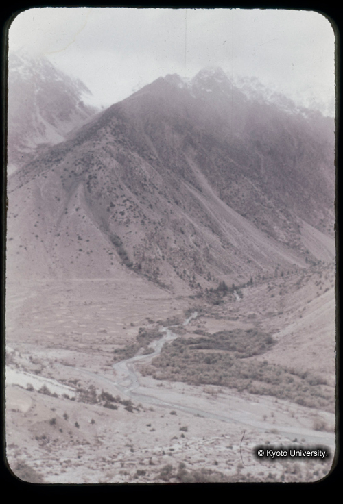 カラースライドF15_01 (1)