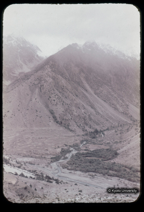 カラースライドF15_02 (1)