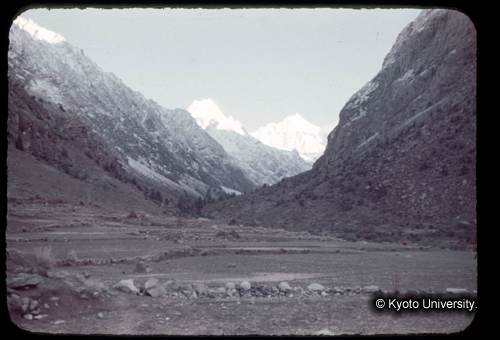 カラースライドF15_04 (1)