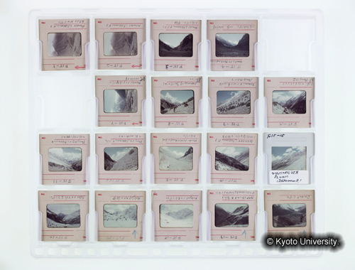 カラースライドシートNo.15 (1)