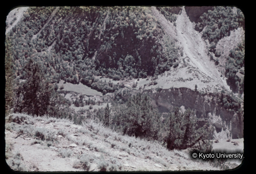 カラースライドF06_19 (1)