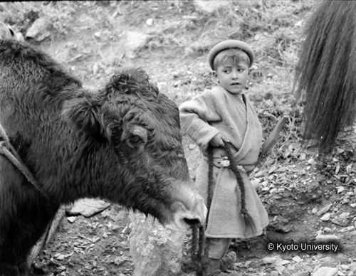 ヒンズークシ地域撮影フィルム : F-28-15 (1)