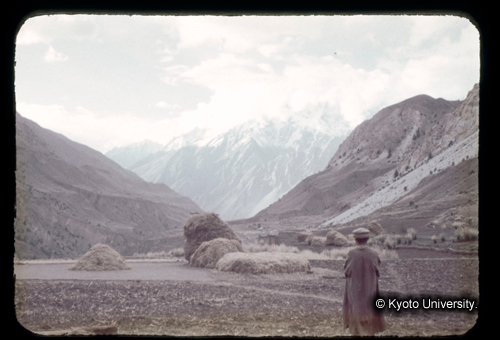 カラースライドF14_04 (1)