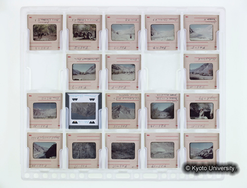 カラースライドシートNo.21 (1)