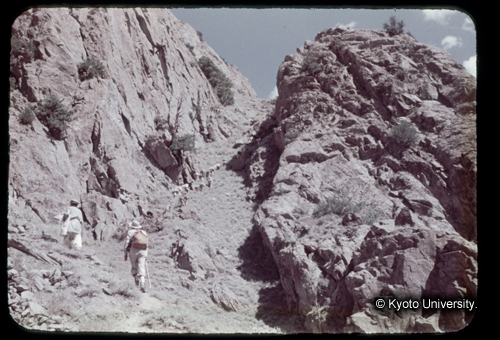 カラースライドF08_18 (1)