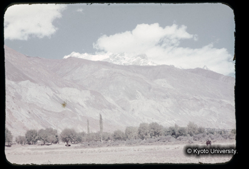 カラースライドF16_05 (1)