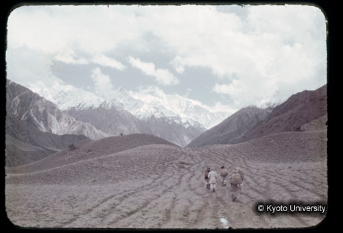 カラースライドF13_14 (1)