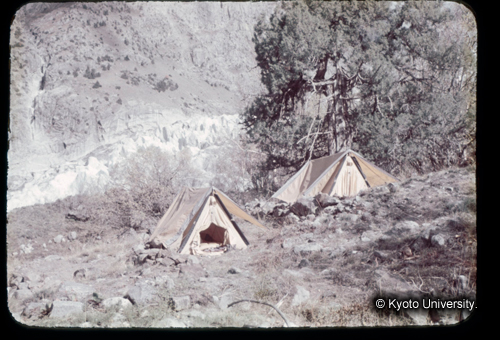 カラースライドF10_16 (1)