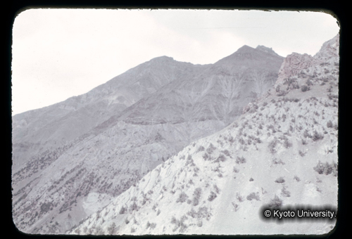 カラースライドF06_16 (1)