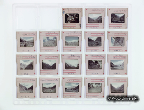 カラースライドシートNo.14 (1)