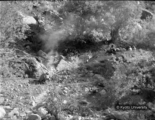 ヒンズークシ地域撮影フィルム : F-15-2 (1)