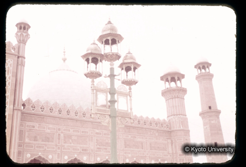 カラースライドF01_15 (1)