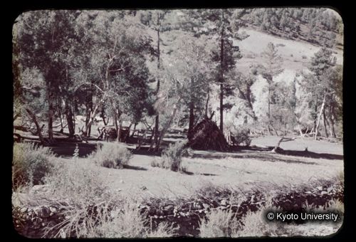 カラースライドF07_02 (1)