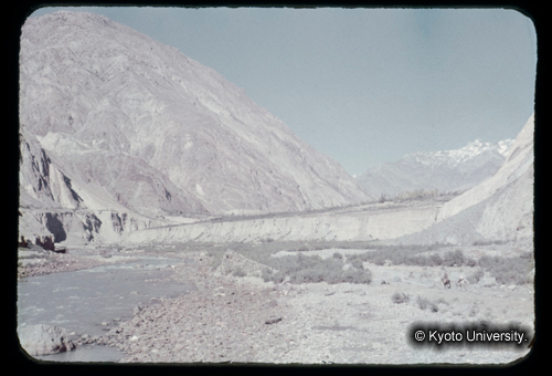 カラースライドF18_20 (1)