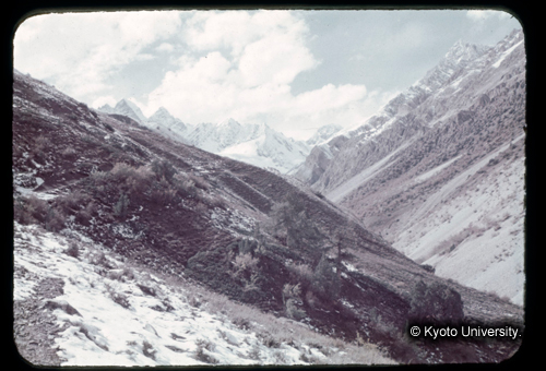 カラースライドF15_14 (1)