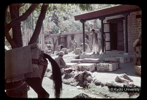 カラースライドF20_12 (1)