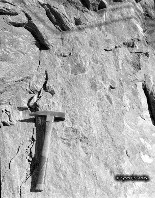 ヒンズークシ地域撮影フィルム : F-40-8 (1)