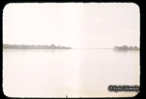 カラースライドF01_10 (1)