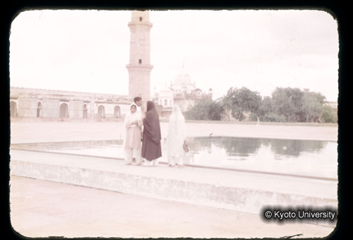 カラースライドF01_14 (1)