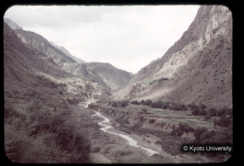 カラースライドF03_21 (1)