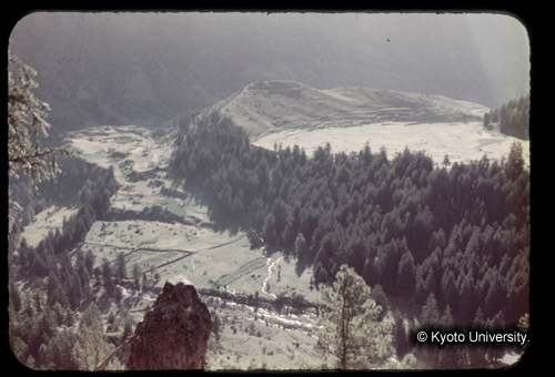 カラースライドF04_03 (1)