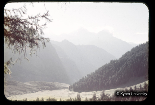 カラースライドF04_04 (1)