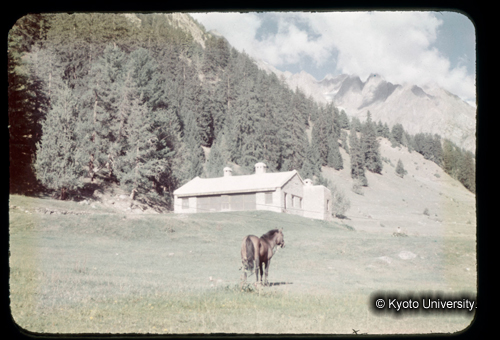 カラースライドF04_15 (1)