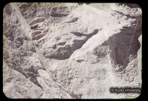 カラースライドF03_18 (1)