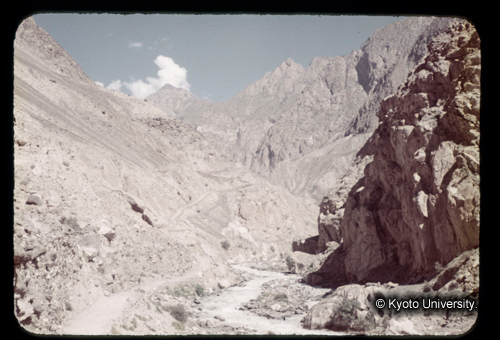 カラースライドF03_17 (1)