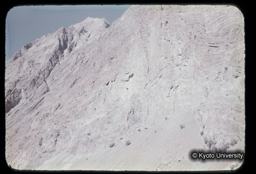 カラースライドF19_09 (1)