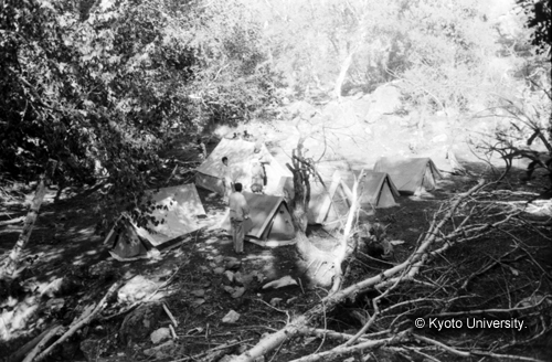 ヒンズークシ地域撮影フィルム : LF-3-5 (1)