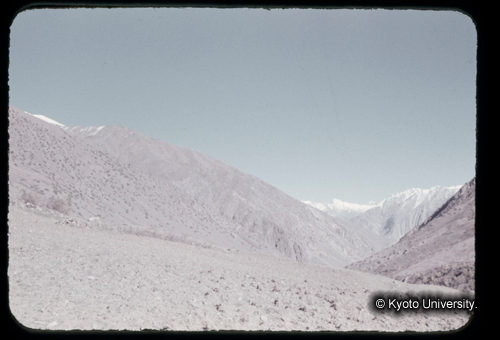 カラースライドF17_07 (1)