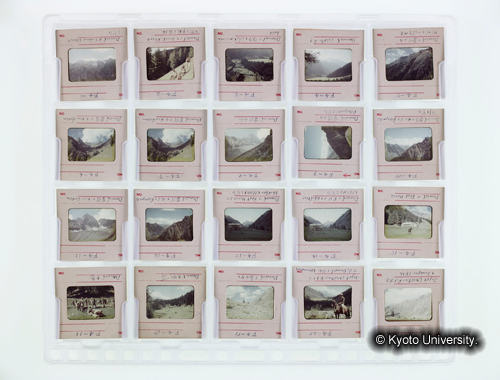 カラースライドシートNo.4 (1)